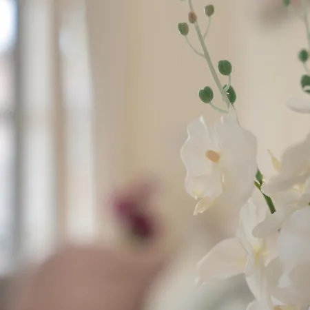 Complejo Orlando 206 Апартаменти Адехе