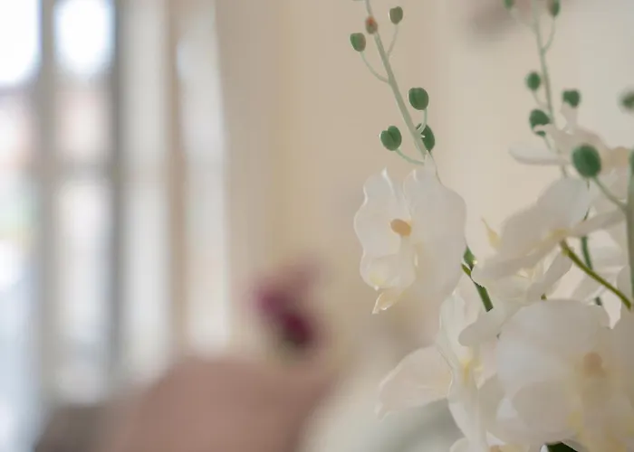 Complejo Orlando 206 Appartement Costa Adeje (Tenerife)