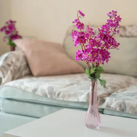 Complejo Orlando 206